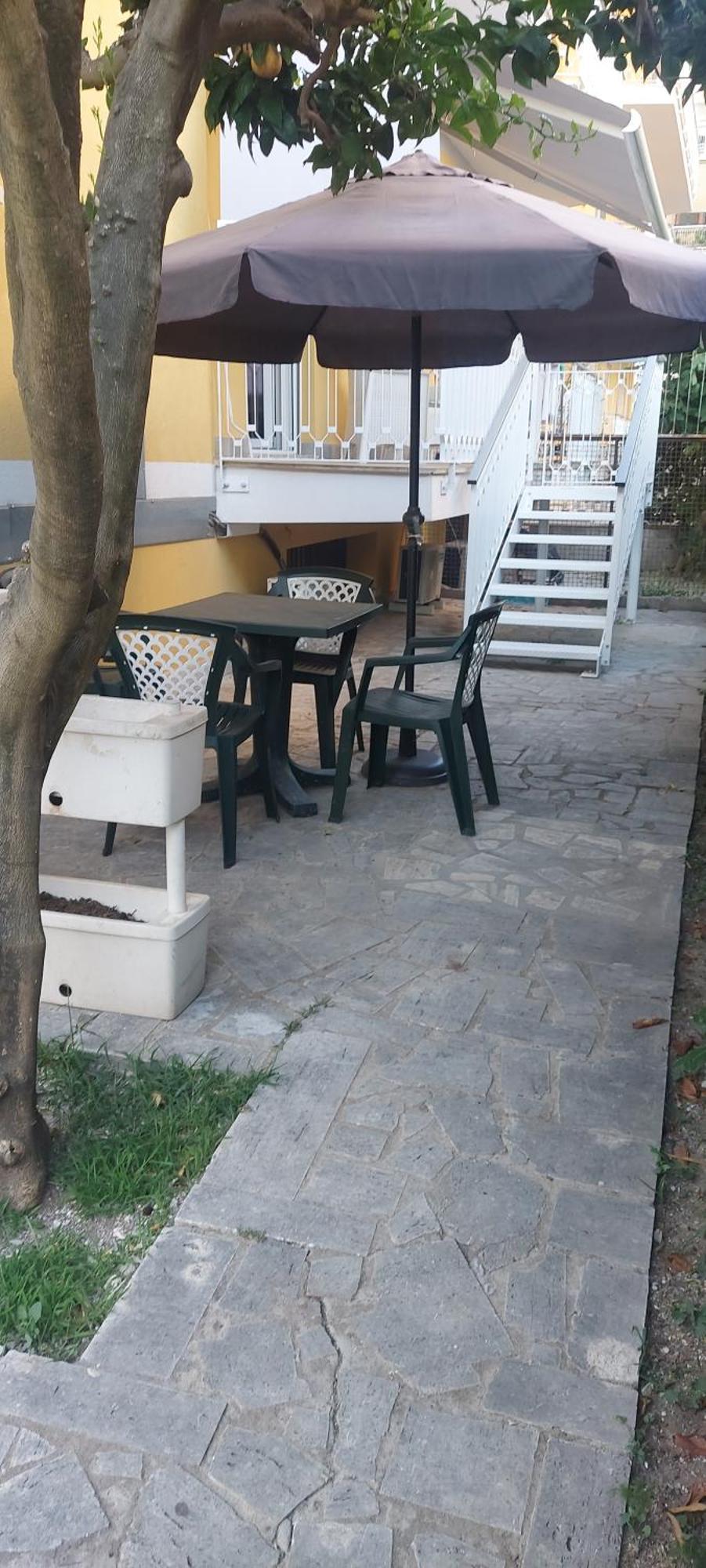 Calliope تيراتشينا المظهر الخارجي الصورة